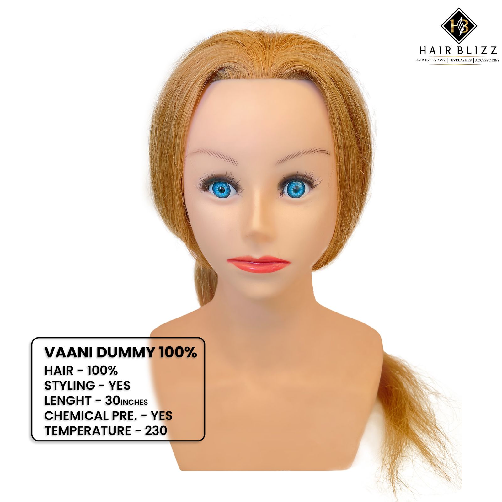 Vaani Hair Dummy 