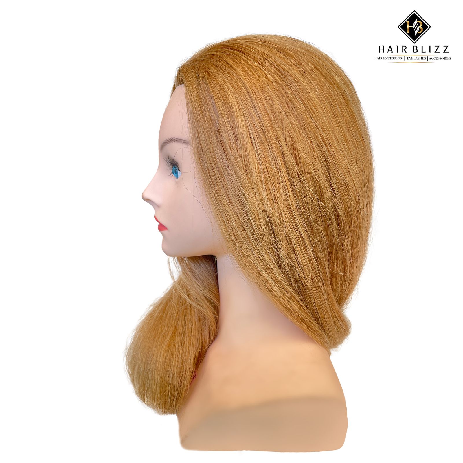 Vaani Hair Dummy 